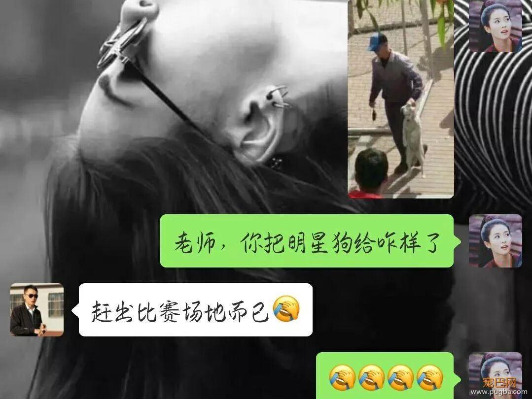 霸占了昨天头条的这条狗，你一定要认识一下！-18.jpeg