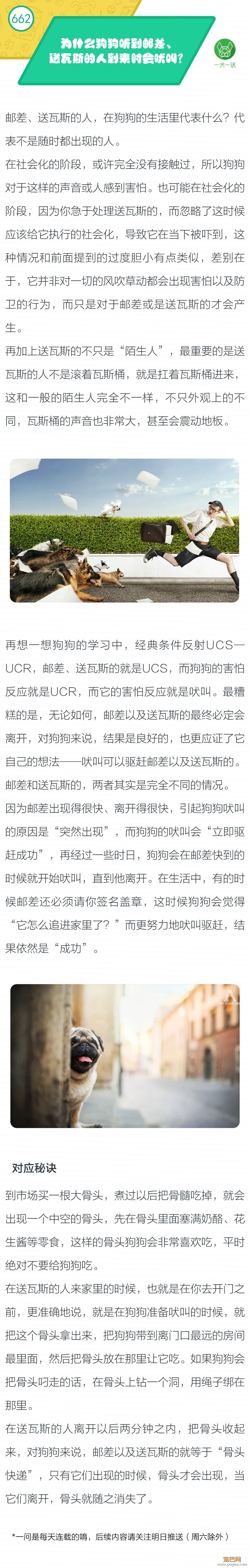 为什么狗狗听到邮差、送瓦斯的人到来时会吠叫？-1.jpeg
