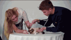 那只被全世界欠下小鱼干的猫咪，悄悄回喵星了…-3.gif