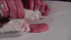 那只被全世界欠下小鱼干的猫咪，悄悄回喵星了…-4.gif