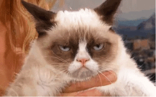 那只被全世界欠下小鱼干的猫咪，悄悄回喵星了…-11.gif