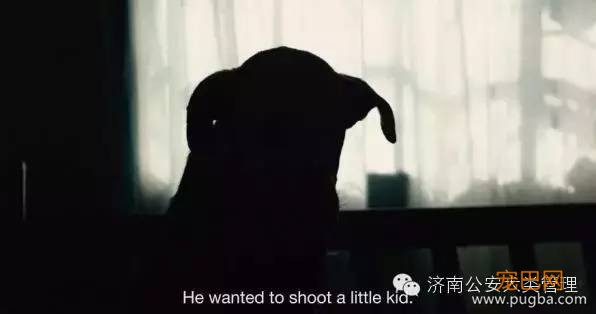 爸妈被枪杀，歹徒射杀小孩时狗狗挡下子弹！中枪后它结局让人感动-4.jpeg