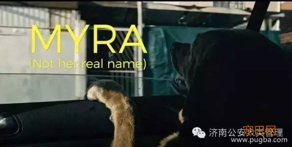 爸妈被枪杀，歹徒射杀小孩时狗狗挡下子弹！中枪后它结局让人感动-5.jpeg