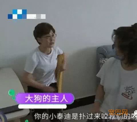 女子遛泰迪被大狗咬伤，狗主人不肯赔偿费用，她无奈选择将大狗咬死-2.jpeg