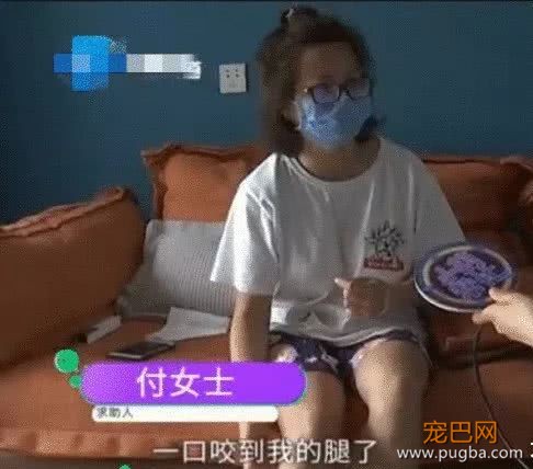 女子遛泰迪被大狗咬伤，狗主人不肯赔偿费用，她无奈选择将大狗咬死-1.jpeg