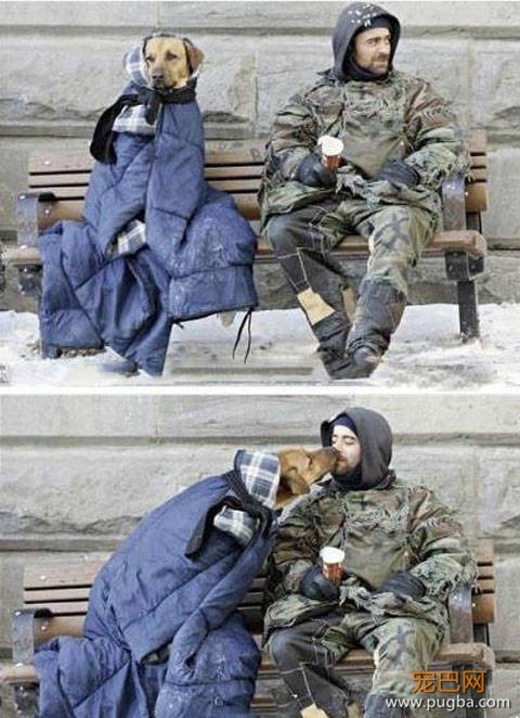 狗狗的感人故事图片，你能忍到第几张不哭？-8.jpeg