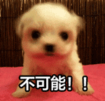 45cm的限养标准，为什么不合理？-1.gif