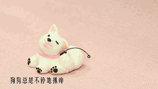 狗狗有寄生虫的10个迹象！-1.gif