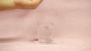 狗狗有寄生虫的10个迹象！-4.gif