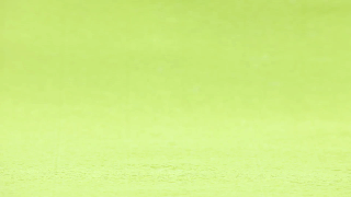 狗狗有寄生虫的10个迹象！-14.gif