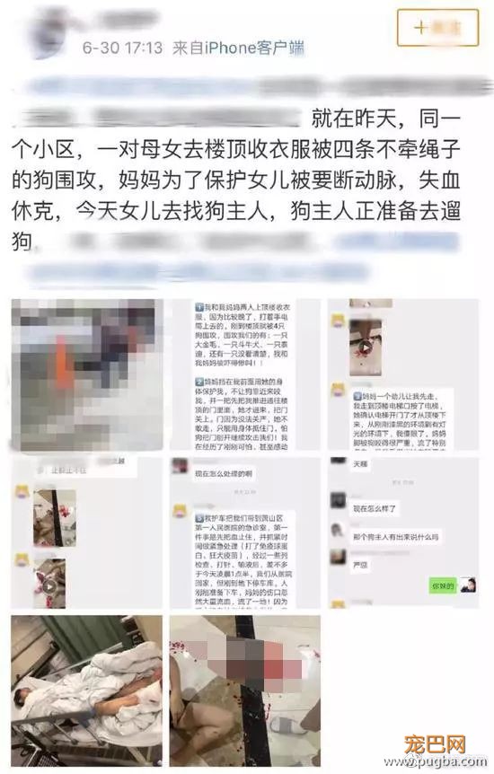 二哈1小时内咬死200多只鸡被抓！它的主人该不该出面？-6.jpeg