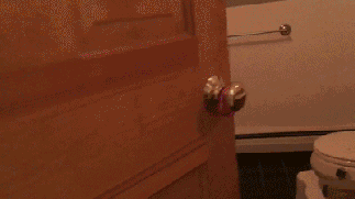 关于拉布拉多，大家好像对它有点小误解...-9.gif