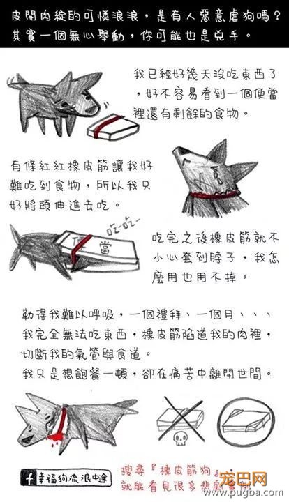 流浪狗妈身亡，无知幼犬却仍在抢着吃奶，而凶手是我们的这个小习惯...-3.jpeg