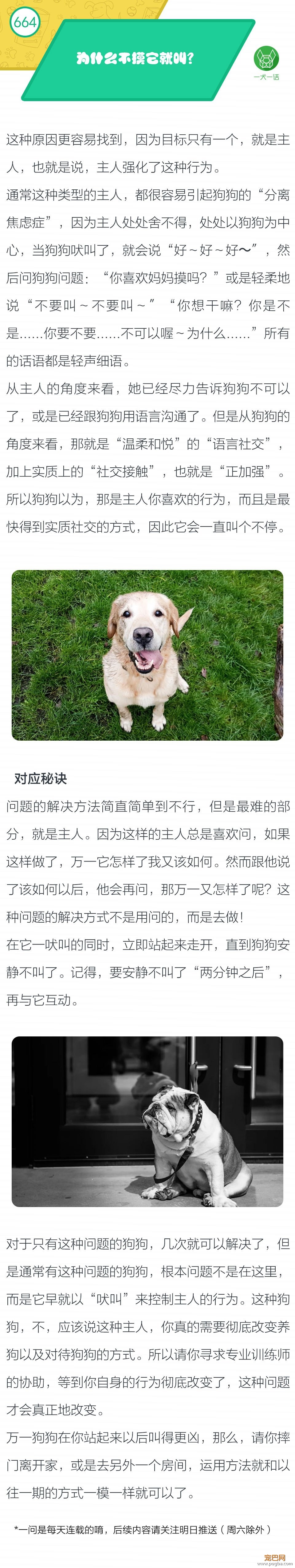 为什么不摸它就叫？-1.jpeg