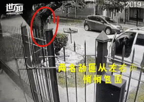 两名劫匪持枪抢劫，但却没想到对方有狗！-2.gif