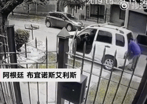 两名劫匪持枪抢劫，但却没想到对方有狗！-1.gif