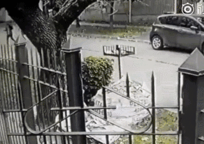 两名劫匪持枪抢劫，但却没想到对方有狗！-5.gif