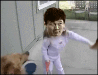 关于养狗，想问而不敢问的10个问题！-3.gif