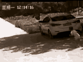 关于养狗，想问而不敢问的10个问题！-8.gif
