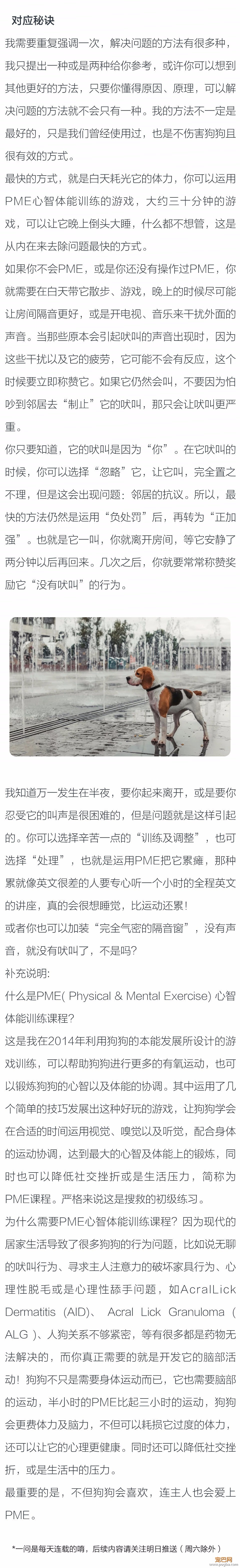 为什么晚上睡觉时只要有动静，狗狗就会吠叫？-2.jpeg