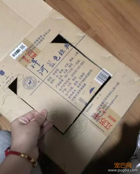 自从养了猫你掌握了哪些特殊技能，网友：0成本制作猫厕所？-3.jpg