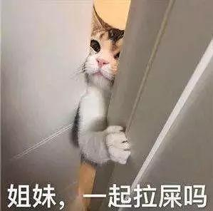 自从养了猫你掌握了哪些特殊技能，网友：0成本制作猫厕所？-14.jpg