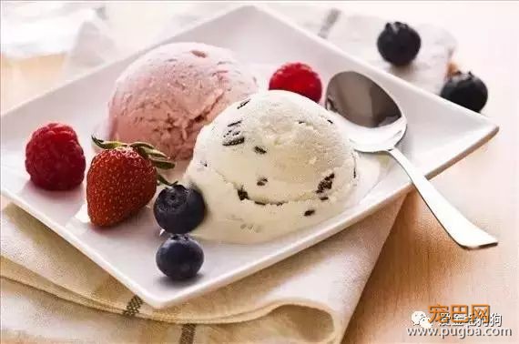 哪些食物狗狗不能吃？主人快记下来咯！-6.jpeg