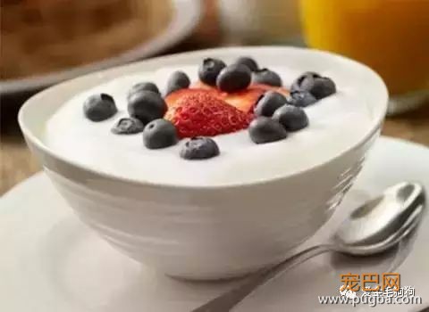 哪些食物狗狗不能吃？主人快记下来咯！-7.jpeg