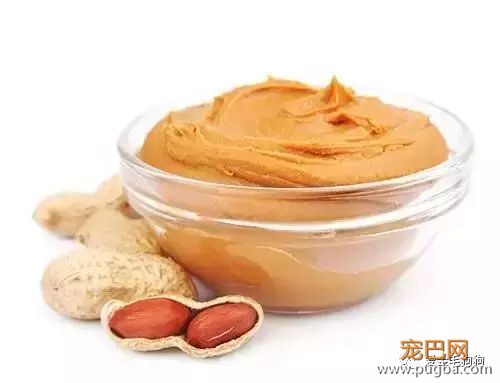 哪些食物狗狗不能吃？主人快记下来咯！-12.jpeg