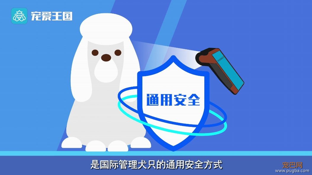 买狗需谨慎！【纯种犬购买指南】（最新版）-9.jpeg