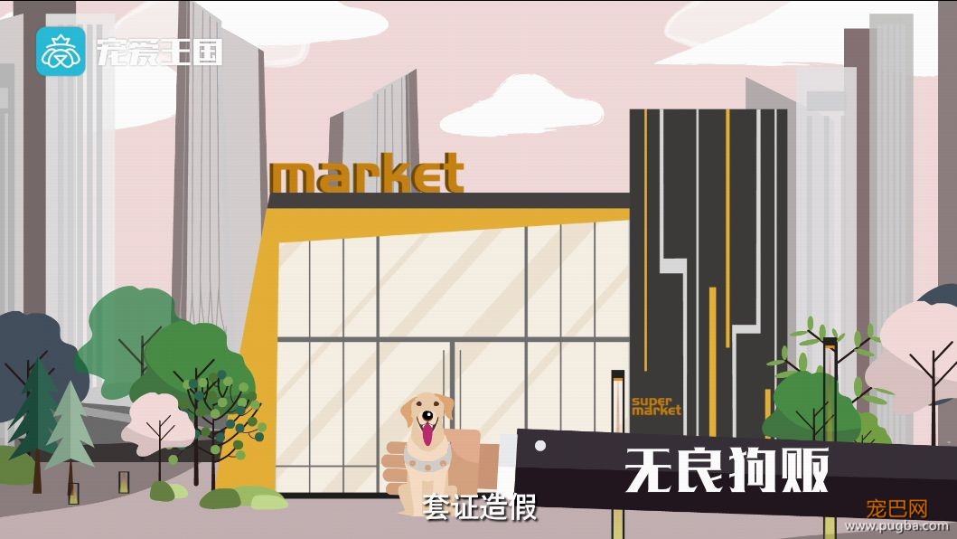买狗需谨慎！【纯种犬购买指南】（最新版）-11.jpeg