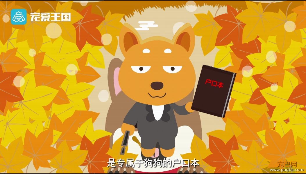 买狗需谨慎！【纯种犬购买指南】（最新版）-22.jpeg