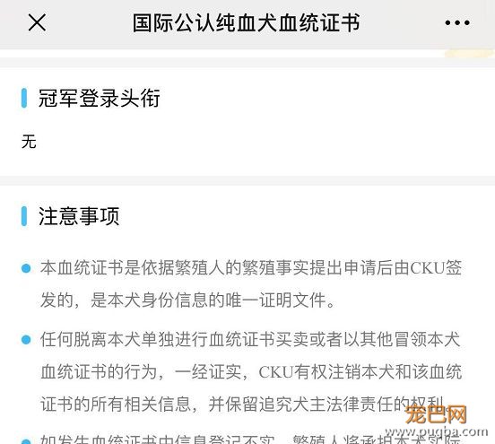 买狗需谨慎！【纯种犬购买指南】（最新版）-27.jpeg