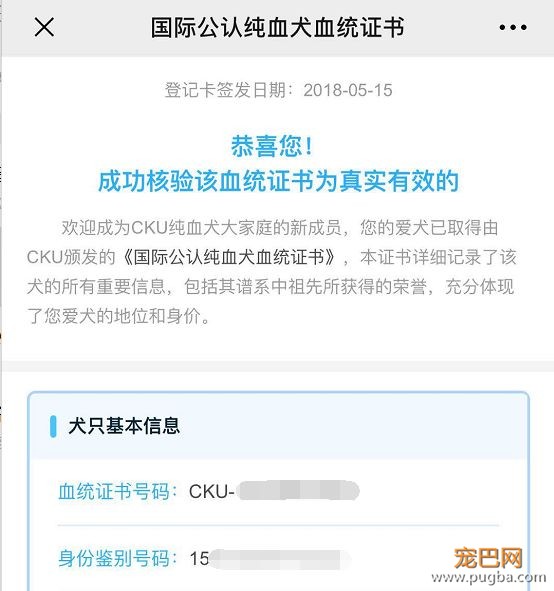 买狗需谨慎！【纯种犬购买指南】（最新版）-25.jpeg