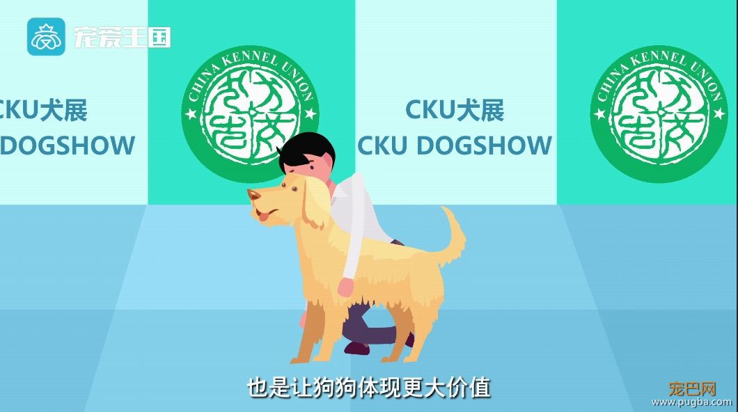 买狗需谨慎！【纯种犬购买指南】（最新版）-35.jpeg