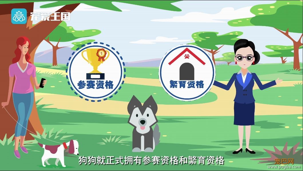 买狗需谨慎！【纯种犬购买指南】（最新版）-34.jpeg