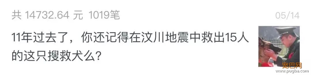 宠物圈第一只锦鲤诞生！但它的好运气，都是自己拼命换来的…-2.jpg