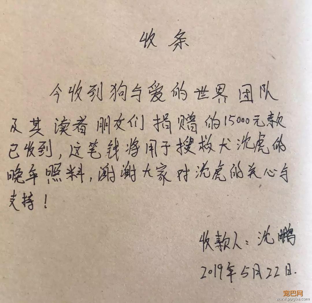 宠物圈第一只锦鲤诞生！但它的好运气，都是自己拼命换来的…-4.jpg