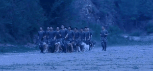 宠物圈第一只锦鲤诞生！但它的好运气，都是自己拼命换来的…-7.gif