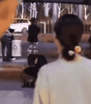 宠物圈第一只锦鲤诞生！但它的好运气，都是自己拼命换来的…-13.gif