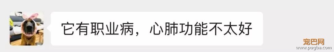 宠物圈第一只锦鲤诞生！但它的好运气，都是自己拼命换来的…-22.jpg