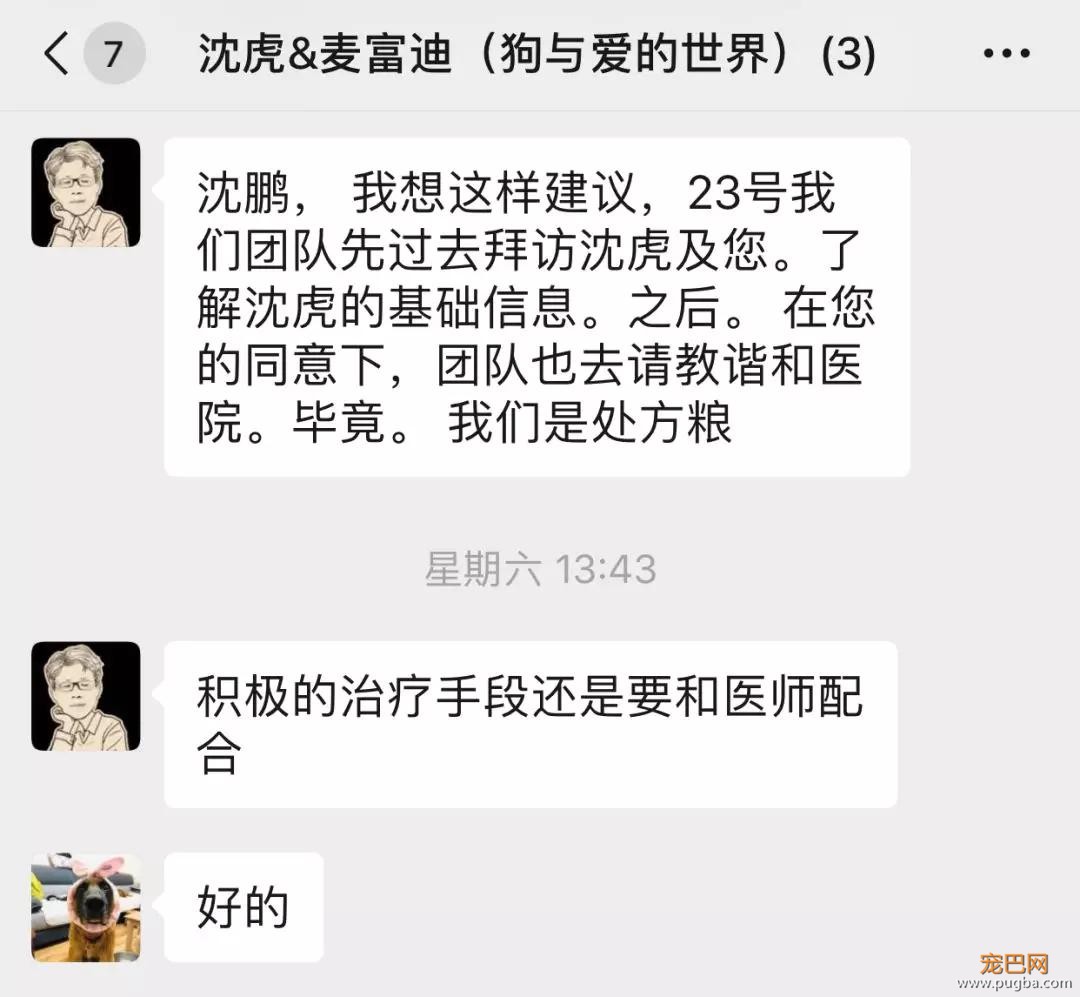 宠物圈第一只锦鲤诞生！但它的好运气，都是自己拼命换来的…-29.jpg