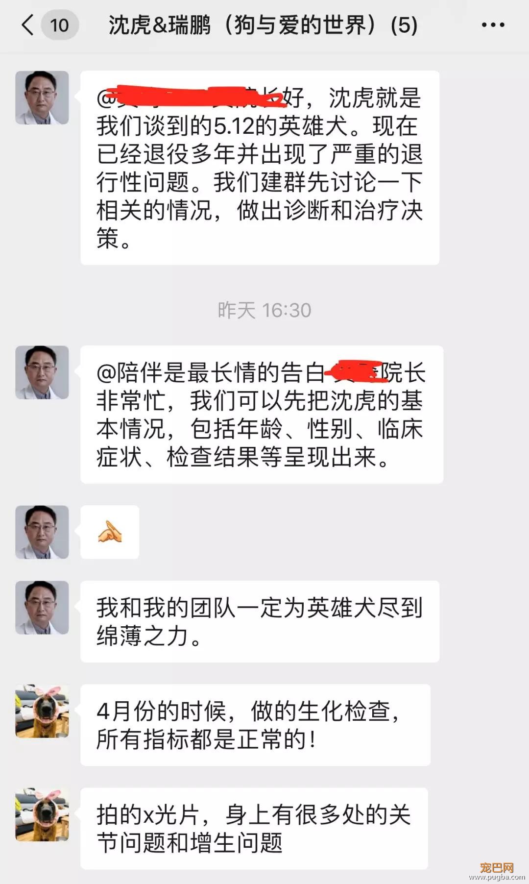 宠物圈第一只锦鲤诞生！但它的好运气，都是自己拼命换来的…-28.jpg