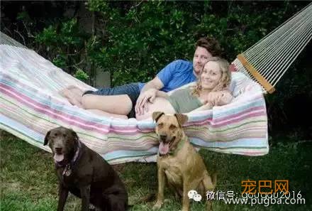 怀孕丢狗，除了愚昧只是借口！-8.jpeg
