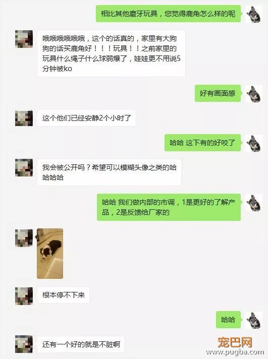 圣诞节来了，这款鹿角彻底火了，看看铲屎官们的买家秀-2.jpeg