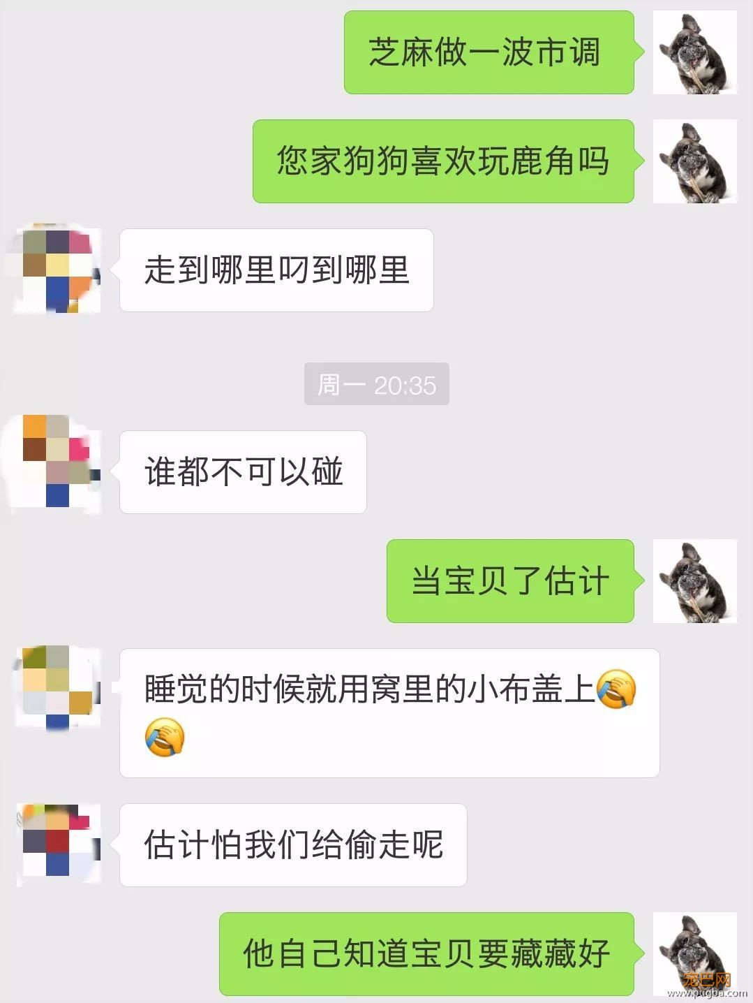 圣诞节来了，这款鹿角彻底火了，看看铲屎官们的买家秀-8.jpeg