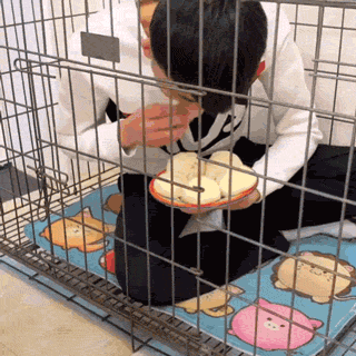 自从养了狗以后，他们再没好好吃过一顿饭，因为…-1.gif