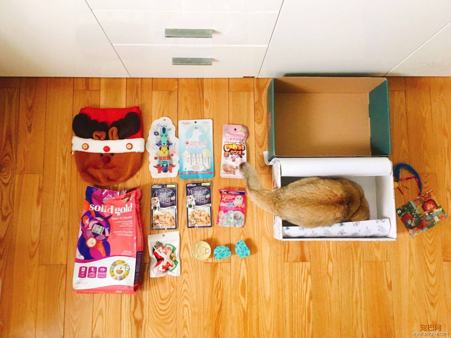 这个盒子真的能满足猫所有的幻想吗？-17.jpeg