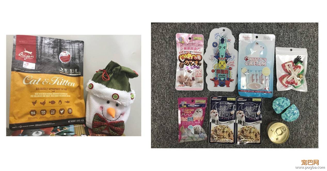 这个盒子真的能满足猫所有的幻想吗？-35.jpeg