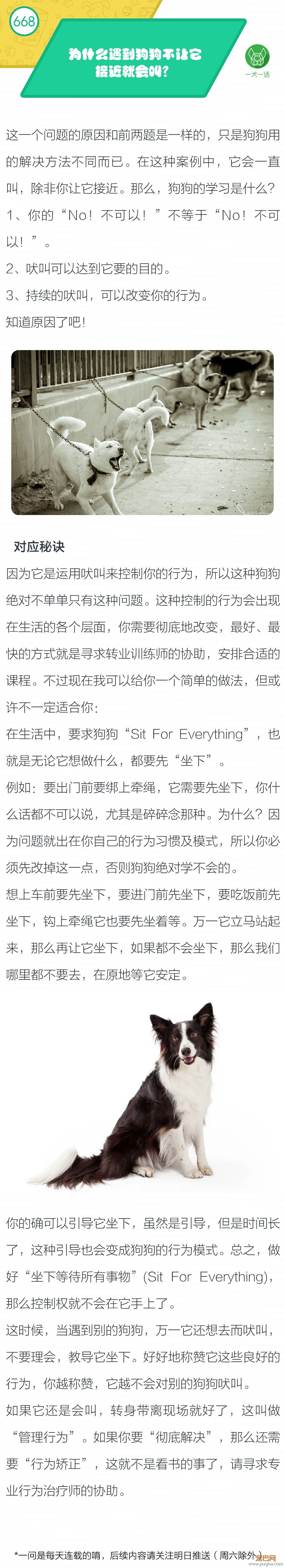 为什么遇到狗狗不让它接近就会叫？-1.jpeg